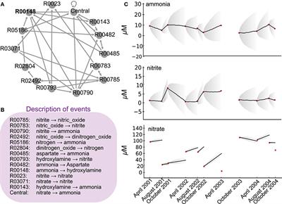 Probabilistic Modeling of Microbial Metabolic Networks for Integrating Partial Quantitative Knowledge Within the Nitrogen Cycle